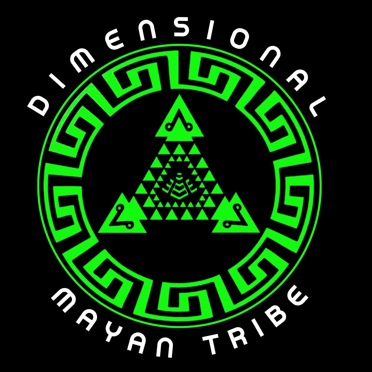 DMT logo with fractal background